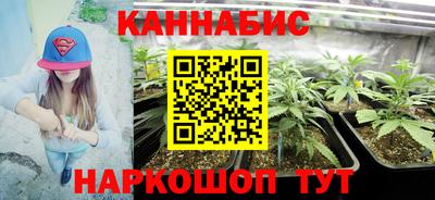 хмурый Дубна