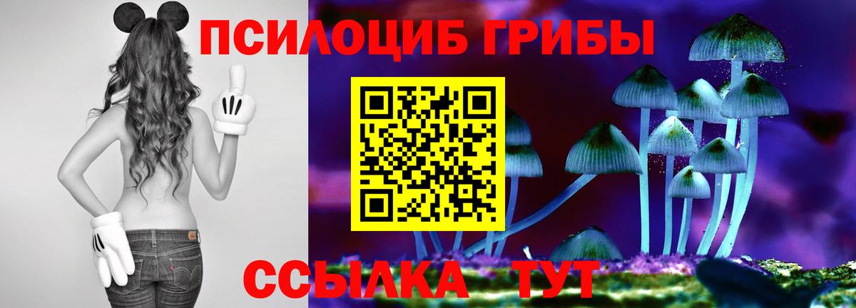 Псилоцибиновые грибы MAGIC MUSHROOMS Кумертау